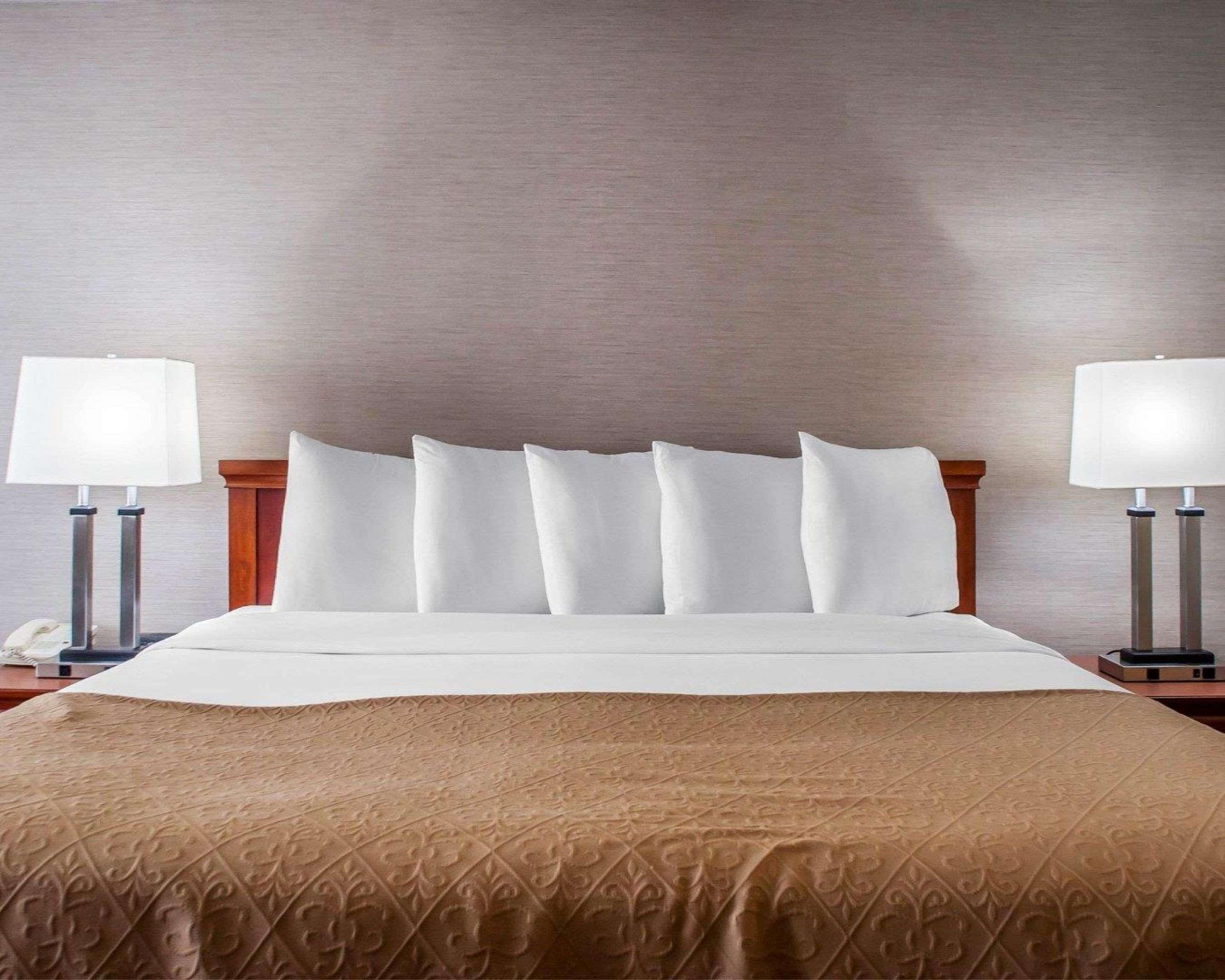 Quality Inn & Suites Vestal Binghamton Near University מראה חיצוני תמונה